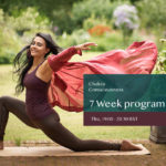 Chakra Consciousness