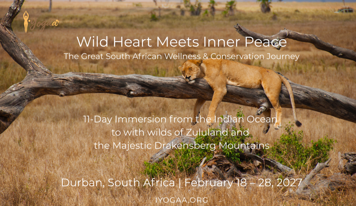 South Africa Safari Yoga Retreat