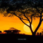 Wild Stillness: 5-Day Yoga Safari & Conservation Retreat | 2 - 6 March 2026 |