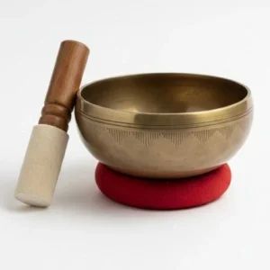 Sound Healing - Science of Resonance - 1st Feb '26