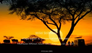 Wild Stillness-Yoga Safari & Conservation Retreat