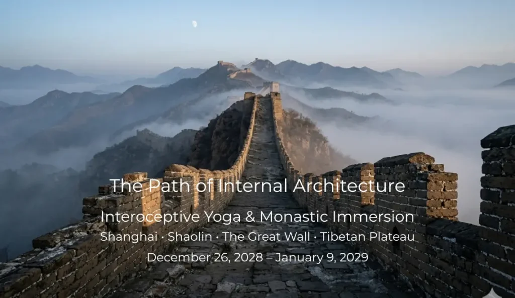 Wide-angle view of the Great Wall of China at dawn, running along rugged mountain ridges and fading into mist. The stone surface appears weathered and uneven, with no people present. Soft morning light casts long shadows, and a faint moon is visible in the sky. - The Path of Internal Architecture - 1