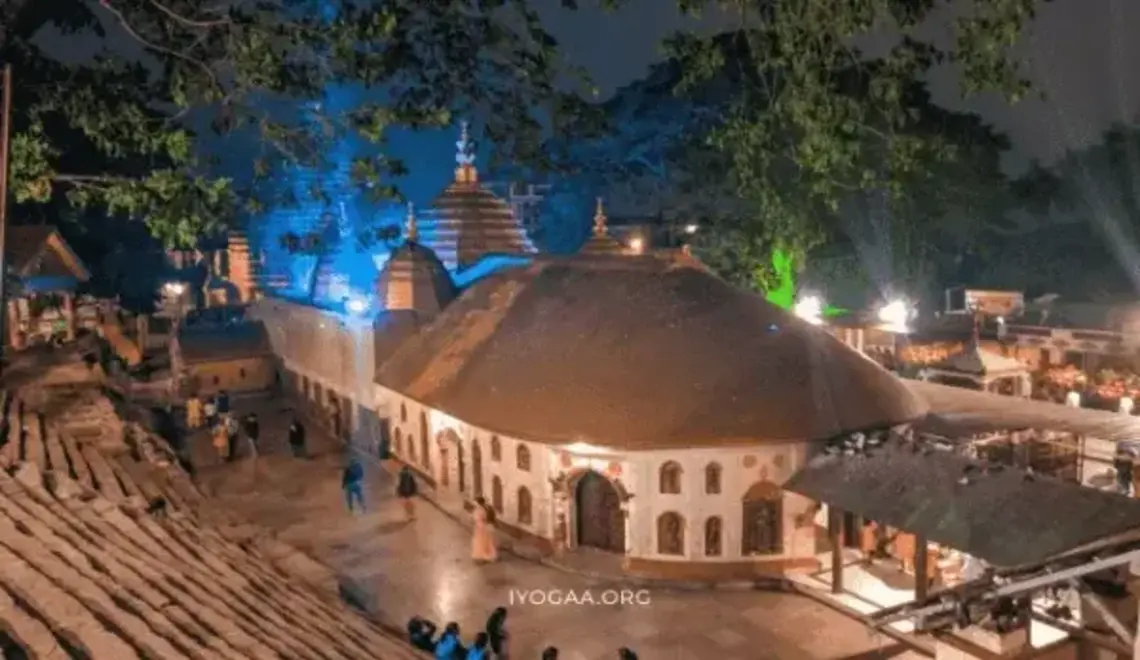 カーマキャ・カリガット・タラピス・リトリート、2026年6月21日～28日