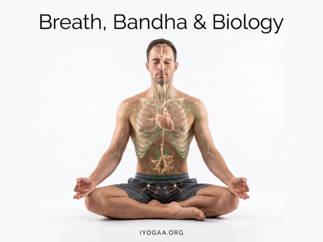 Breath, Bandha & Biology: Optimising Energy Through Advanced Asana