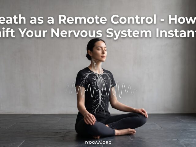 Breath as a Remote Control: How to Shift Your Nervous System Instantly