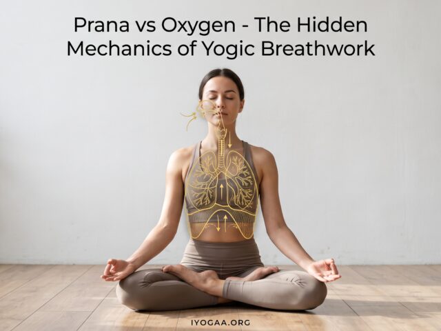 Prana vs Oxygen: The Hidden Mechanics of Yogic Breathwork