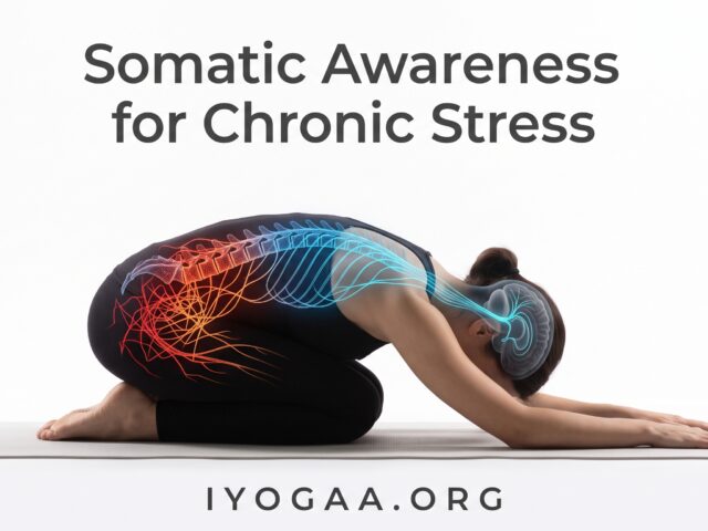 Somatic Awareness for Chronic Stress
