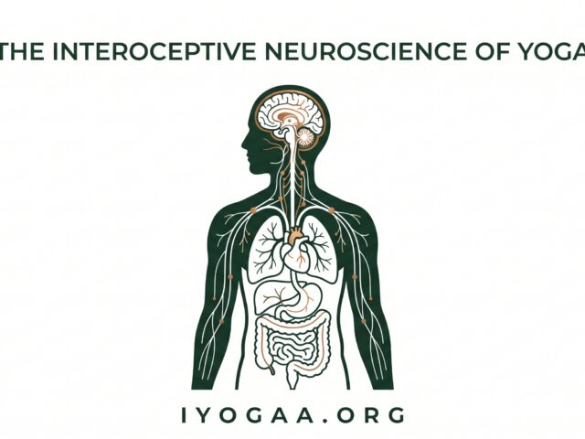 How Interoceptive Neuroscience Explains the Real Power of Yoga