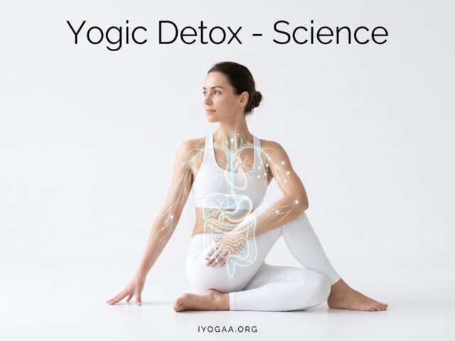 The Yogic Detox
